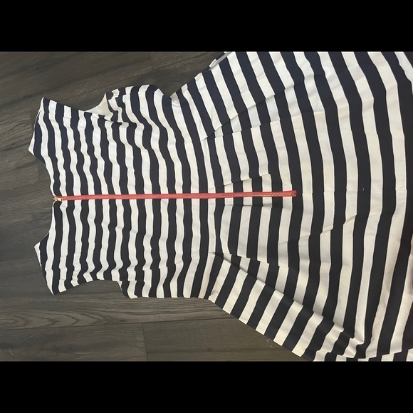 Sandra Darren Fit and Flare Dress - Picture 3 of 4